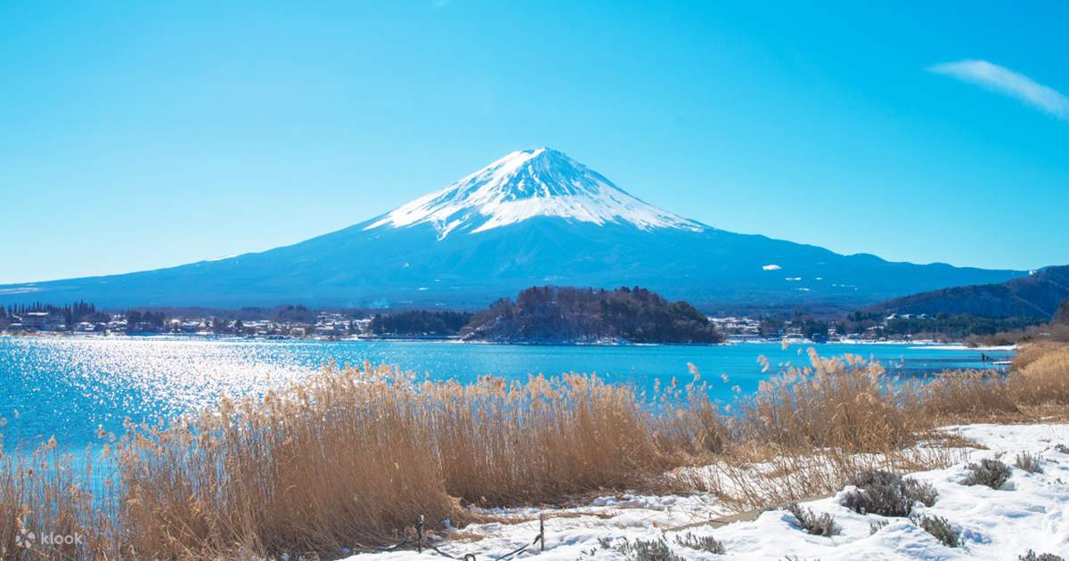 本栖湖富士芝桜】新倉山浅間公園&忍野八海&本栖湖芝桜まつり& ローソン